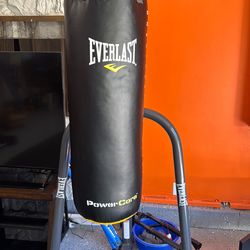 Everlast boxing