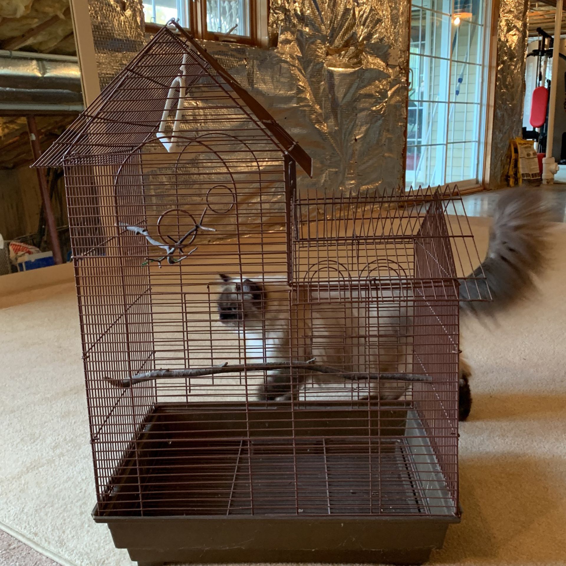 Bird Cage- Cat Not Included!