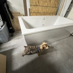 Bath Tub 