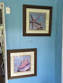 Coastal Seashell and Starfish Framed Art Prints, Set of 2