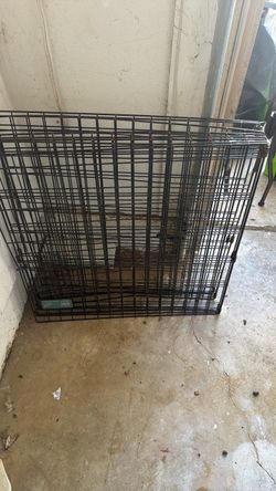 Dog fence