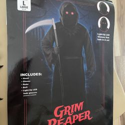 Halloween Costume- Size: L. Yourh 12-14.