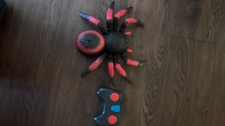 Remote  Control  Spider