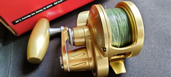 Accurate Valiant 500N-SPJ Custom Gold