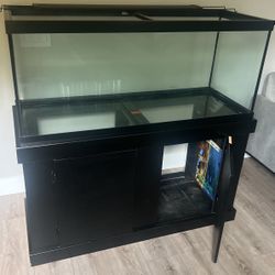 Fish Tank With Stand