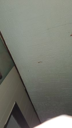 1 ton dumptruck load of split oak for $250