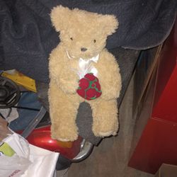 Vermont Teddy Bears - I love you forever bear