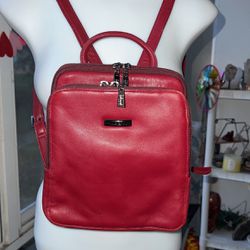 Pelle Studios Small Leather Backpack 
