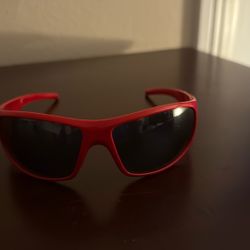 Puma Sunglasses 