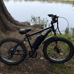 E Bike 