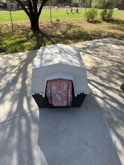 Free doghouse