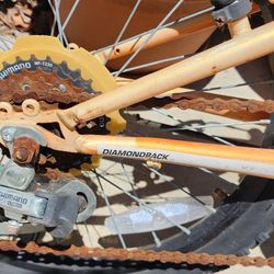 Mountain Bike