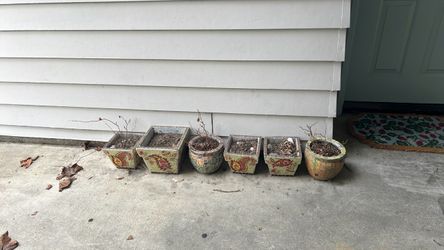 Plant pots