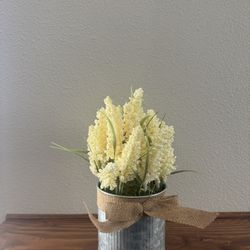 Small Plant Decor 