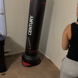 Airship Century Hybrid Standing Bag