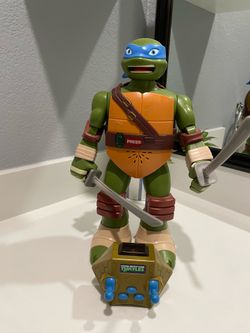 Teenage mutant ninja’s turtle bundle