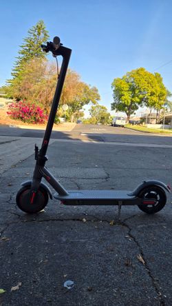 Adult electric scooter