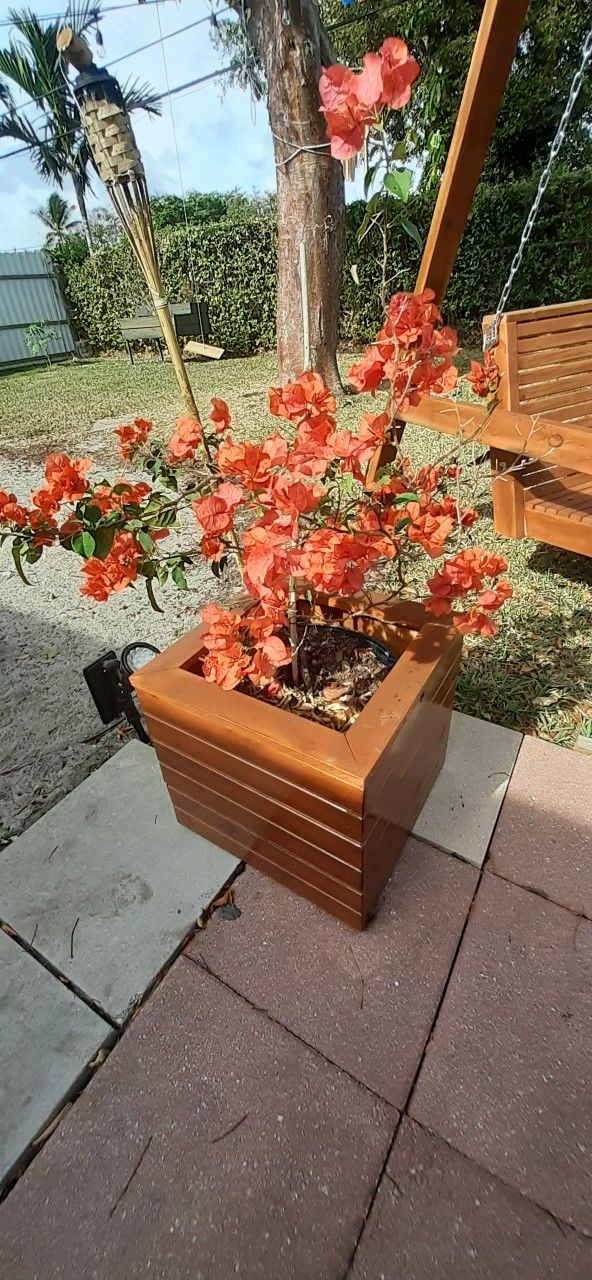 Wooden Planter Boxes More than 5 designs. Wooden Swings