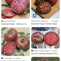 Cherokee Purple Tomatoes & Sweet Basil 