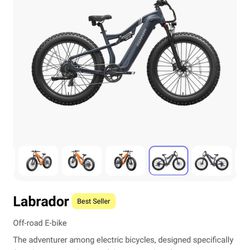 Brand new High performance off road Electric bike 30mph