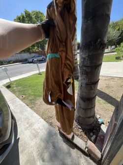 Scooby Doo Size Medium Adult
