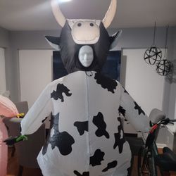 Animal Farm inflatable birthday party costume