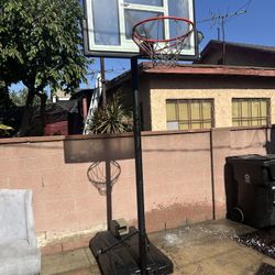 Lifetime Brand Basketball Hoop 