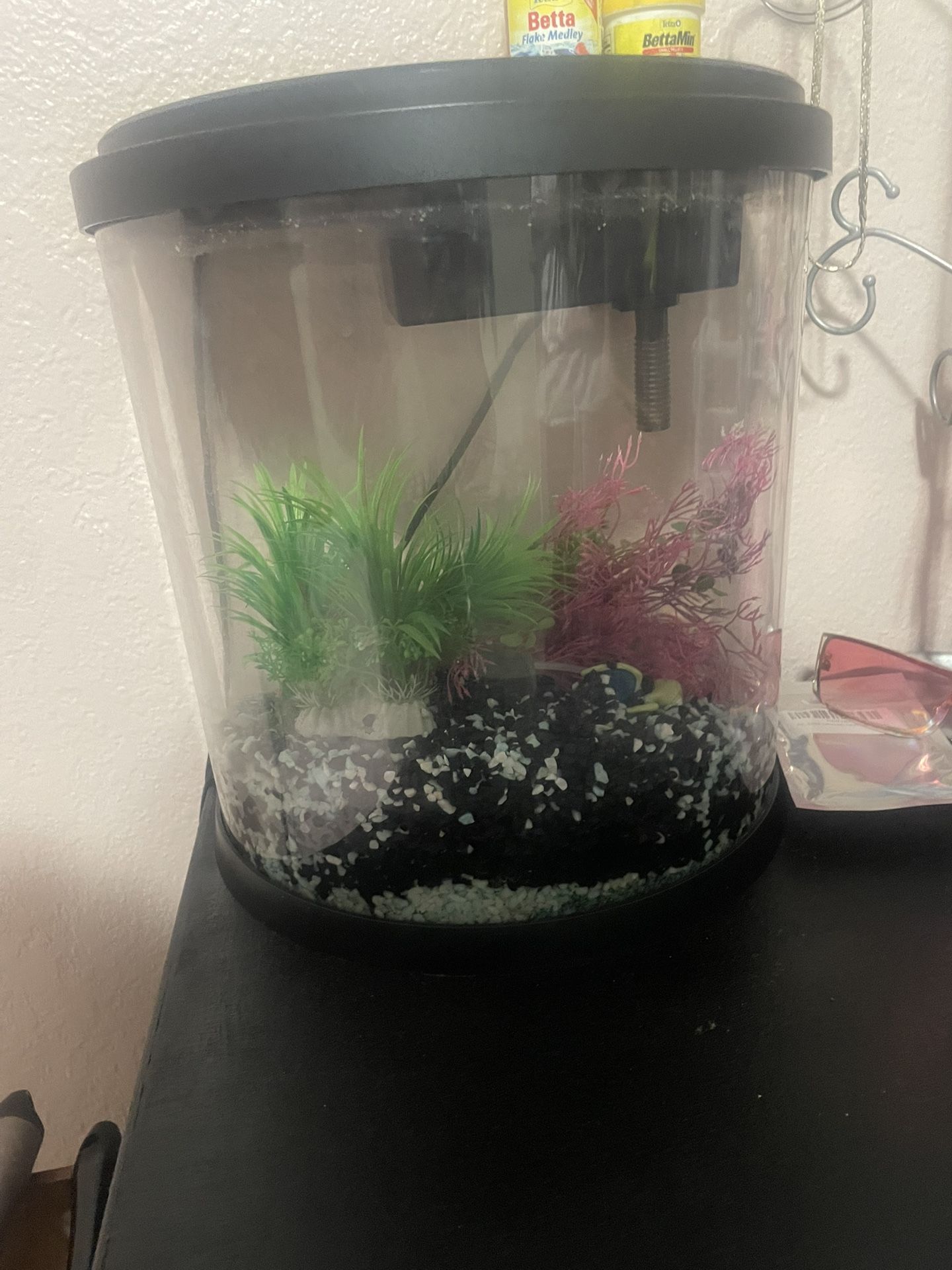 Fish Tank With Food