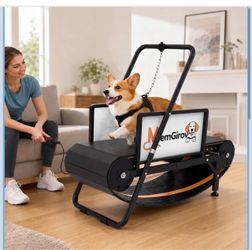Small dog treadmill