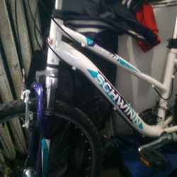 Schwinn Bicycle