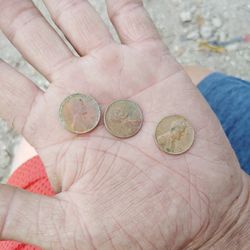 Pennies From Early 1900