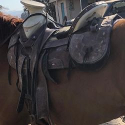 Montura Charra Cajon 16 