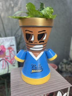 UCLA Garden Flower Pot