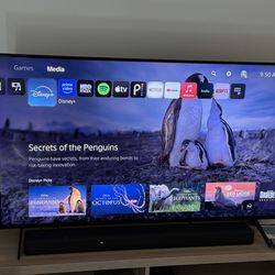 55” Sony TV + Sound bar + PS5