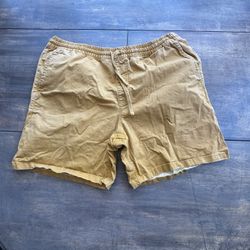 Vans Summer Shorts 