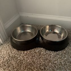 Dog Bowl