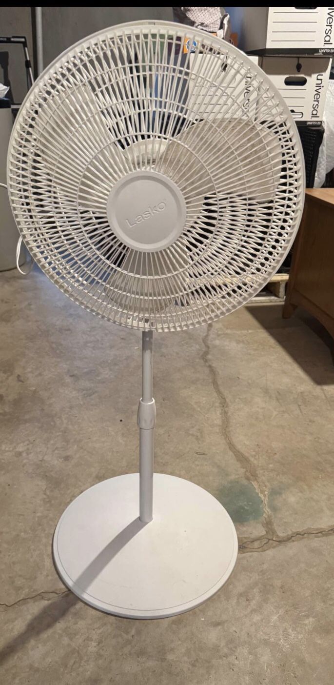 Nice Working Fan