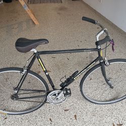 Schwinn Texas Special