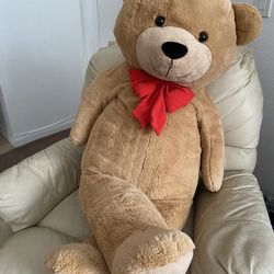 Plush Teddy Bear