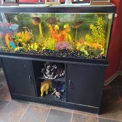 75 Gallon Fish Tank