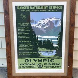 Olympic National Park Framed Poster