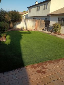 Turf Grass For Sale