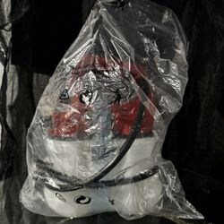 Cordless garden sprayer 1 gallon (4 liter)