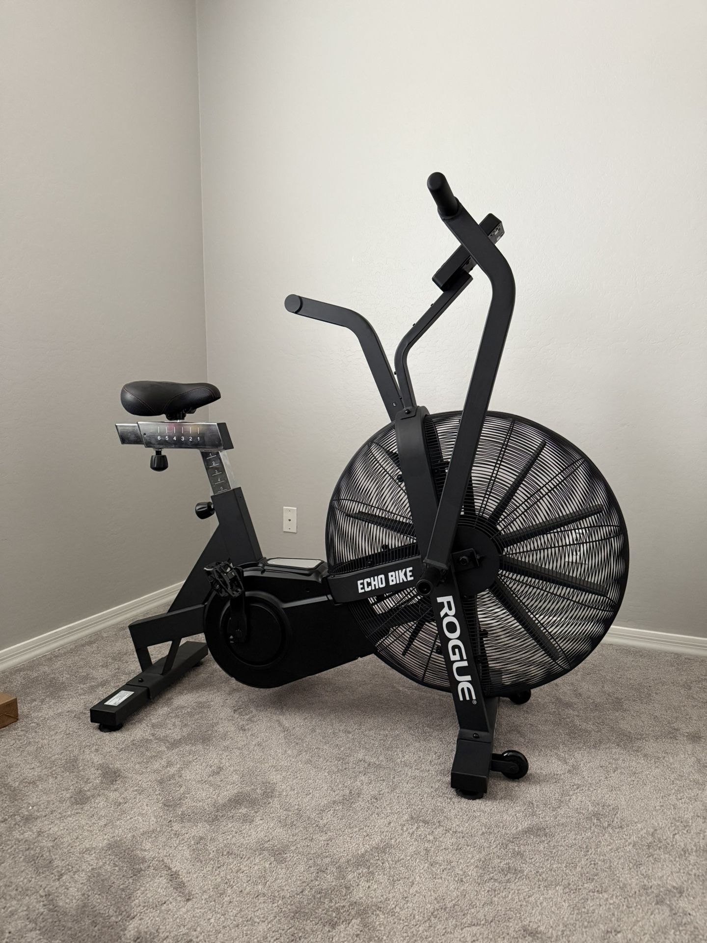 Rogue Echo Bike V3.0