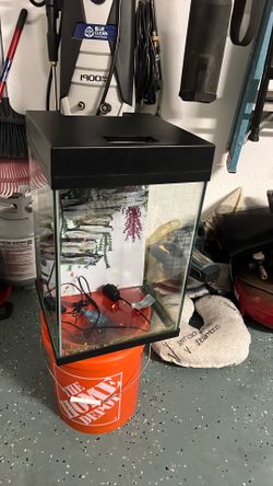 10gal glass tank with light
