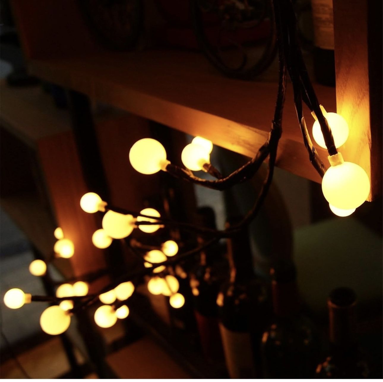 Outdoor Indoor String Lights Plug in Decorative Fairy LED Light with Waterproof US Plug AC 120V Star String Light for Patio Curtain Bedroom Wedding