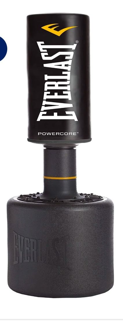 Everlast Punching Bag