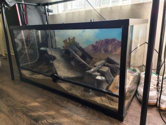 Glass terrarium