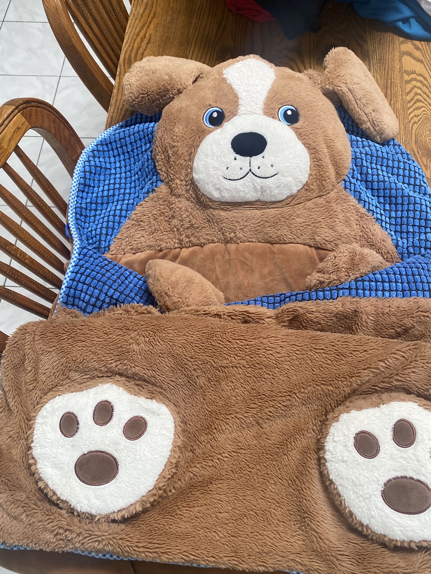 Teddy Bear Sleeping Bag Kids