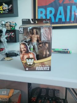 Wwe Jake The Snake Chase